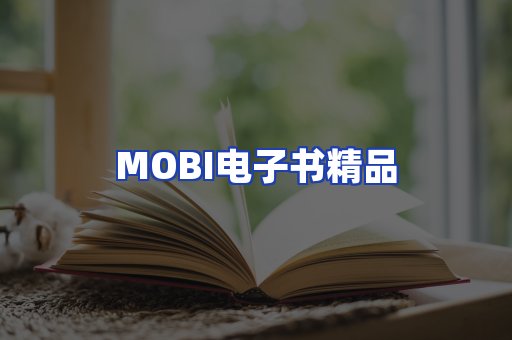 外文电子书产品