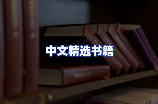 中文精选书籍